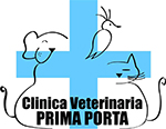 CLINICA VETERINARIA PRIMA PORTA